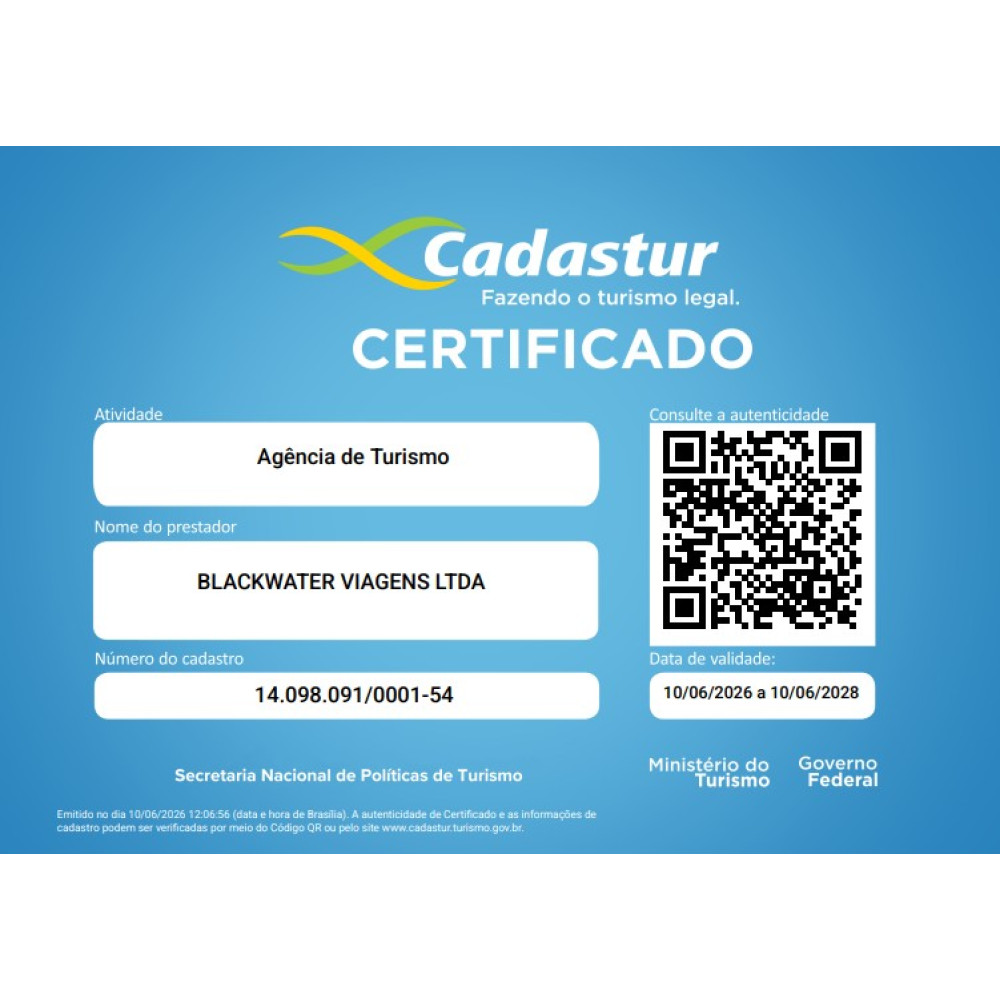 EXCURSÃO HARRY STYLES - 17/07/2026